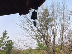 -汇龙潭