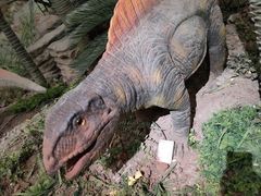 -湖南省地质博物馆