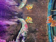 -沈阳海洋探索中心