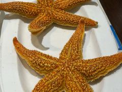 -山海菜馆·海肠捞饭·青岛菜(栈桥店)