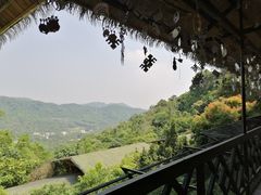 -海南槟榔谷黎苗文化旅游区