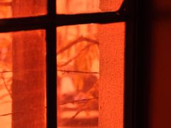 -Nathalie Djurberg与Hans Berg“牛皮纸包裹的月亮”-Prada荣宅当季展览