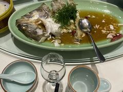 -海派美食·家宴海鲜青岛菜·石锅鲽鱼头(东方城店)