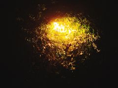 -鹏欣水游城