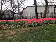 -无锡梅园公园