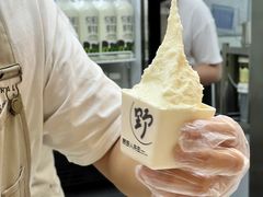 -野人先生现做冰淇淋(北京悠唐购物中心店)