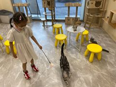 -猫力发电所·宠物专门店