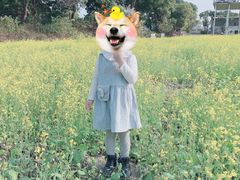 -长洲岛都市农业公园