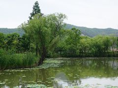 -长兴太湖图影湿地文化园