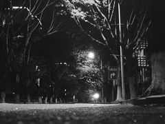 悦华酒店-厦门悦华酒店