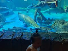 -多彩贵州城极地海洋世界