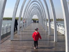 -大兴滨河森林公园