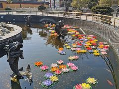 -上海东林寺(金山区)