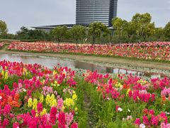 -春花秋色城市公园