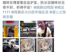 盛京一禾-盛京一禾