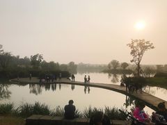 -白鹭湾湿地公园