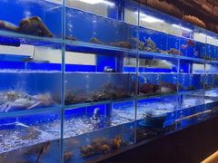 水产区-隆聚时令海鲜(一舟店)