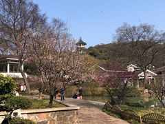 -无锡梅园公园