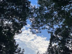 -广州市白云山风景名胜区