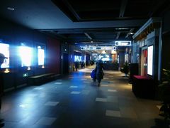-万达影城(西铁营万达广场IMAX店)