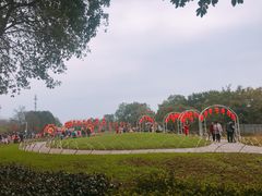 -雀儿山公园