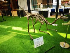 -辽宁古生物博物馆