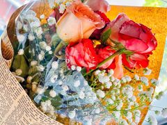 -海马体照相馆(厦门SM城市广场店)