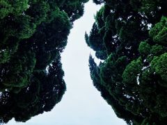 -小麦岛公园