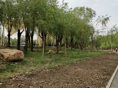 -长春公园(普阳街道)