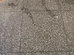 -洪氏嗨捞·猪肚鸡火锅(阳光天地店)