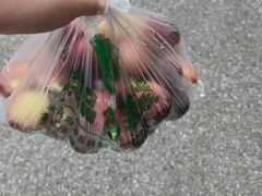 -菊园百果园