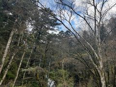 -神农架景区