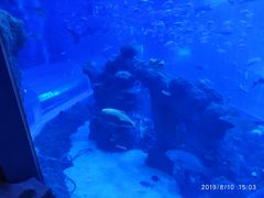 -成都浩海立方海洋公园