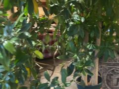 -慢丽江·云南野生菌土鸡锅(付家庄店)