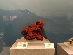 -贵州省地质博物馆