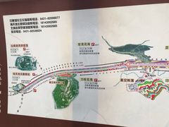 -莲花山花海