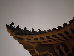 -武汉大学-樱园