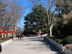 -青岛德国总督楼旧址博物馆