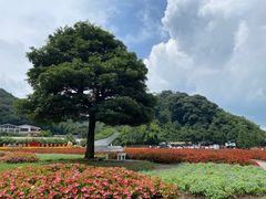 -广州市石门国家森林公园