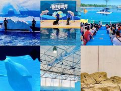 -秦皇岛乐岛海洋王国