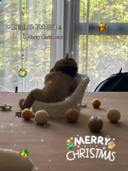 -宝生月子中心·私家园林式(龙华观澜店)
