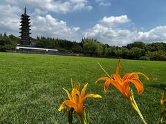 -上海方塔园