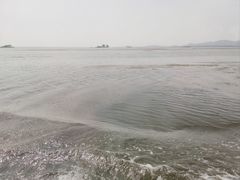 -微山湖红荷湿地景区