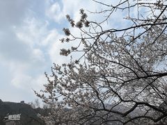 -居庸关长城