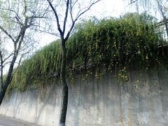 -南京育英第二外国语学校(大厂校区)