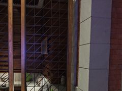 -浅深Cheersum(曹杨店)