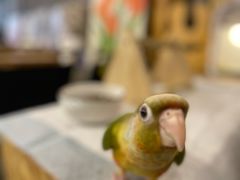 -吾叁·吉趣鸟咖(万科店)