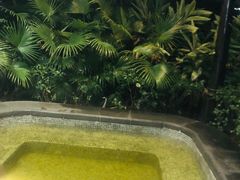 -广州从化都喜泰丽度假温泉酒店