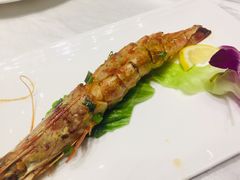 -云顶旋转自助景观餐厅