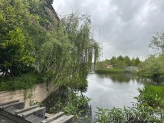 -水月周庄铂尔曼酒店 · 漾全日餐厅
